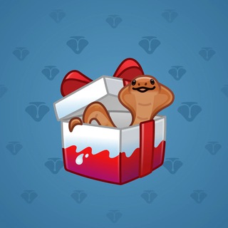 Snake Box #28514