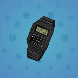 Swiss Watch #8417